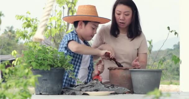 年轻的亚裔母亲与她的男孩准备黑土的小植物在花园里 地球日概念 — 图库视频影像