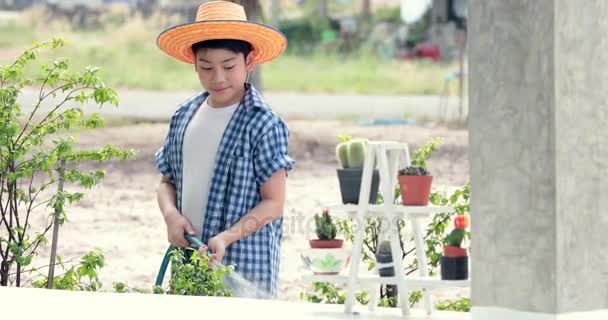 アジア タイ少年水庭の黒土の小さな苗 地球日コンセプト — ストック動画