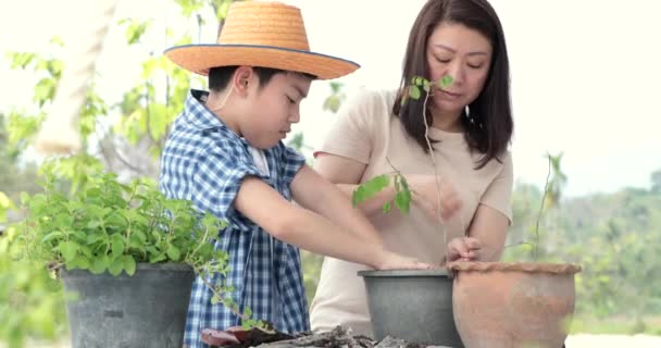 Jonge Aziatische Moeder Met Haar Jongen Bereiden Zwarte Bodem Plantje — Stockvideo