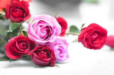 Sevgililer günü için gül yaprakları.