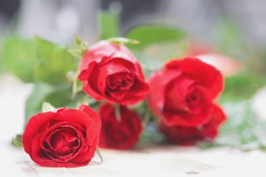 Kopya alanı ile ahşap arka plan üzerinde kırmızı gül.