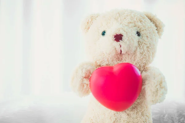 Медведь далл держит удивительное красное сердце Огромный  . — стоковое фото