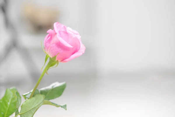 コピー スペースと木の背景にピンクのバラ. — ストック写真