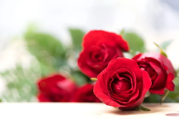 Rose petals for valentines day. — Stock Photo, Image