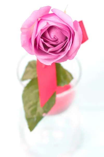 Pétalas de rosa para o dia dos namorados . — Fotografia de Stock