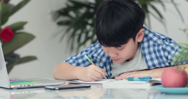 Feliz Asiático Lindo Chico Mano Celebración Lápiz Escribir Tarea Casa — Vídeos de Stock