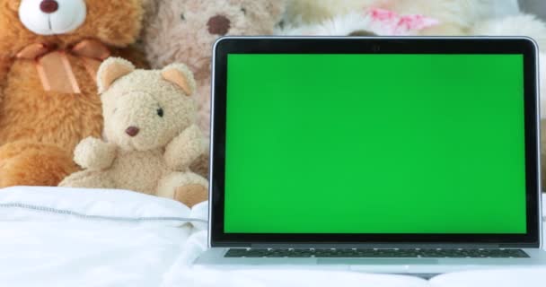 Laptop Green Screen — Stock Video