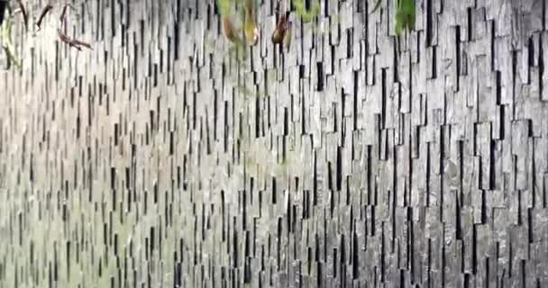 Wodospad Marszczyć Tło — Wideo stockowe