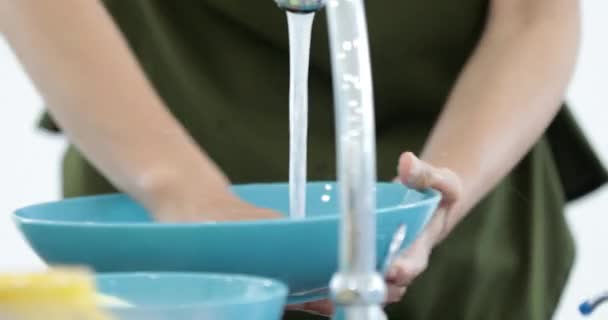 Asiática Mulher Lavar Placa Pia Cozinha — Vídeo de Stock