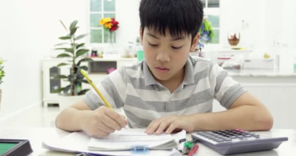 Asian Child Reading Calculating Writing Homework Home — Stock Video