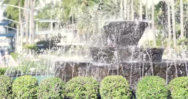 Fuente Agua Jardín — Vídeos de Stock