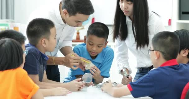 Professeur Asiatique Étendant Étudiant Classe Géologie Avec Différent Rock — Video