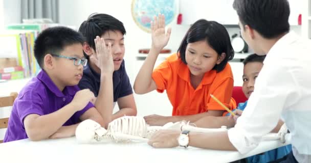 ダミーの骨格の解剖学のクラスの学生に拡大アジアの教師 — ストック動画