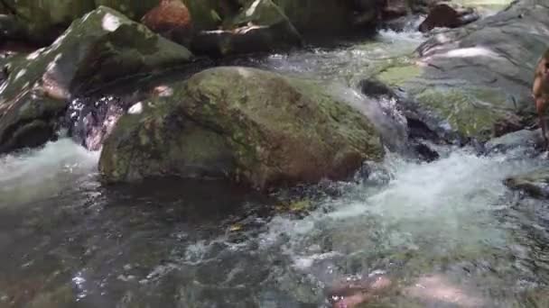 流入热带森林的水流 泰国自然水流的4K视频镜头 森林地板上的叶子和视频中流淌的水 — 图库视频影像