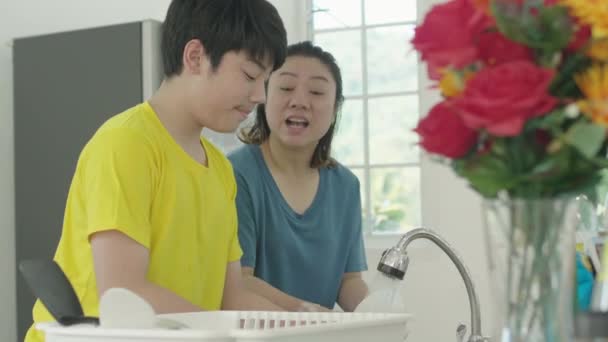 Glückliche Familienmutter Und Sohn Beim Gemeinsamen Geschirrspülen Hause Mit Einem — Stockvideo