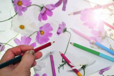 Mor penisli bir kadın eli, beyaz bir deftere çiçekler çiziyor. Pembe ve beyaz çiçekler ve sabah ışığında masaya saçılmış renkli pastel kalemler..