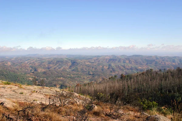 View Landscape Forests Trees Portugal Forest Fire — Stock Photo, Image