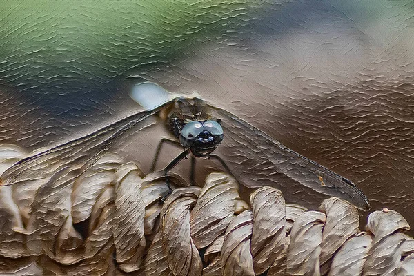 Primer Plano Una Libélula Sobre Cuadro Trenzado Cortado Ilustrado Artístico — Foto de Stock