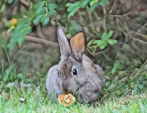 Çimlerin Üzerinde Bir Elmayla Vahşi Bir Tavşanı Sanatsal Bir Tuvalde — Stok fotoğraf
