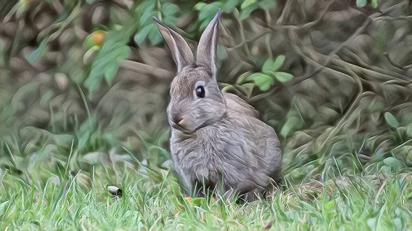 Çimenlikteki Vahşi Bir Tavşanı Sanatsal Bir Tuvalde Yağlı Boya Olarak — Stok fotoğraf