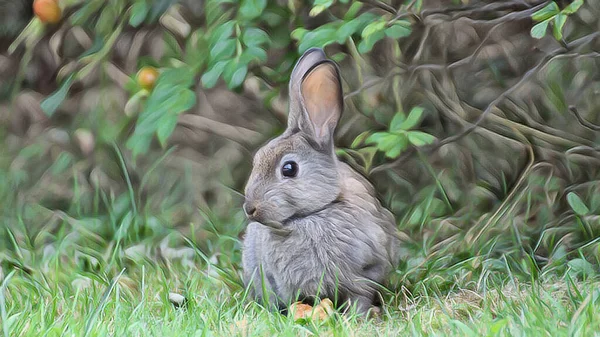 Çimlerin Üzerinde Bir Elmayla Vahşi Bir Tavşanı Sanatsal Bir Tuvalde — Stok fotoğraf
