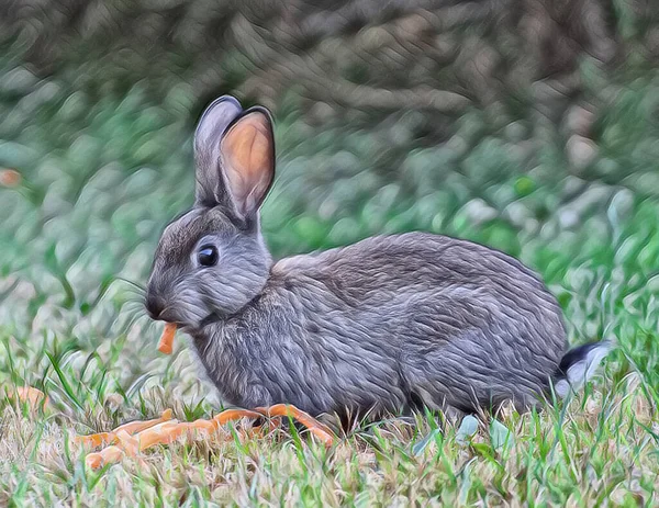 Çimlerin Üzerinde Havuç Kabukları Olan Vahşi Bir Tavşanı Sanatsal Bir — Stok fotoğraf