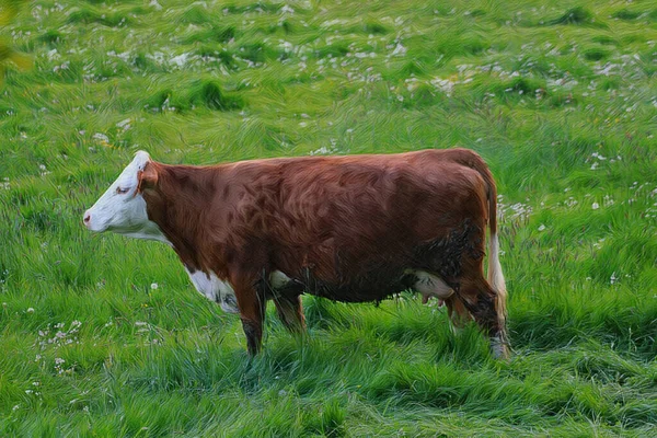 アートワーク 牧草地で美しい牛の放牧 — ストック写真