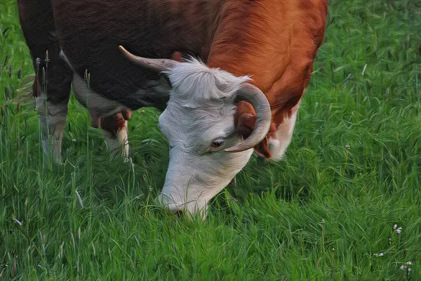 Kunstwerk Eine Schöne Kuh Weidet Auf Der Weide — Stockfoto