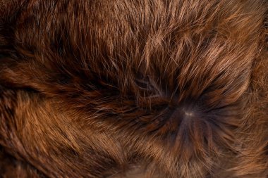 Şık ve lüks Kızıl tilki kürk