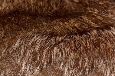 Şık ve lüks Kızıl tilki kürk