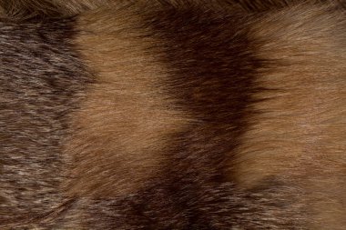 Şık ve lüks Kızıl tilki kürk