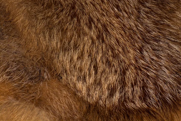 Classy Luxurious Red Fox Fur — Stock Photo, Image