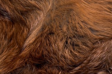 Şık ve lüks Kızıl tilki kürk