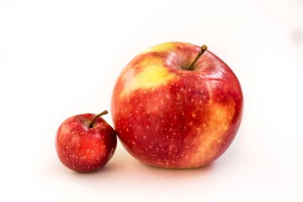 Una Gran Manzana Roja Rosa Con Una Pequeña Manzana Paradisíaca —  Fotos de Stock