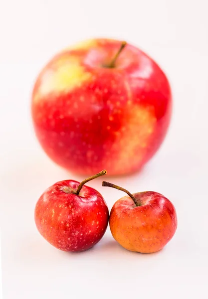 Dos Pequeñas Manzanas Celestiales Fondo Una Gran Manzana Siempre Juntos —  Fotos de Stock