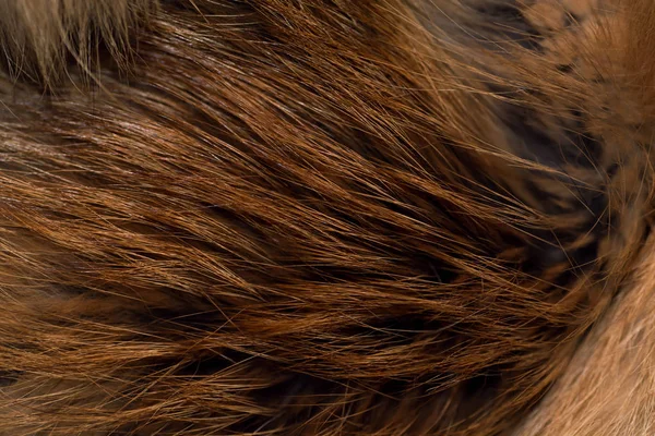 Şık ve lüks Kızıl tilki kürk