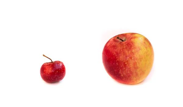 Comparación Una Pequeña Manzana Roja Paradisíaca Una Gran Naranja Socios —  Fotos de Stock