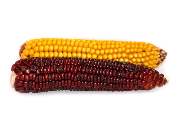 Кол Сухого Барда Желтой Кукурузы Попкорна — стоковое фото