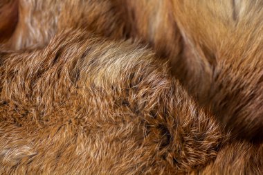 Şık ve lüks Kızıl tilki kürk