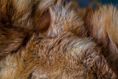 Şık ve lüks Kızıl tilki kürk