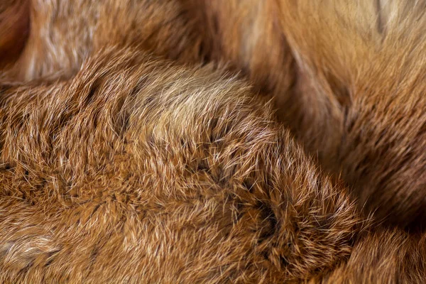 Pele Raposa Vermelha Elegante Luxuosa — Fotografia de Stock