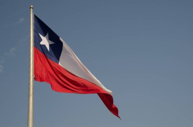 Libertador Bernardo OHiggins Caddesi 'nde Şili Bayrağı