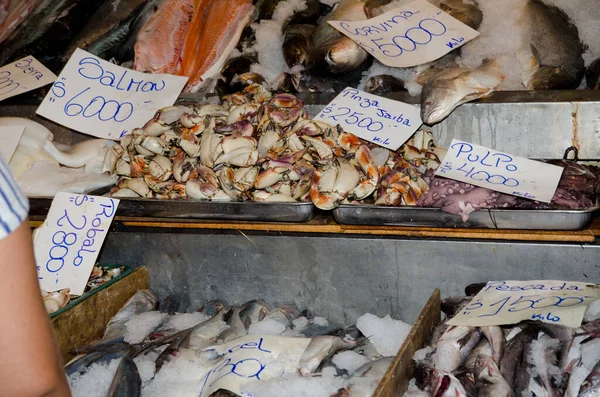 Barraca de peixes e moluscos no mercado central . — Fotografia de Stock