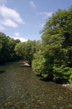 Şili 'nin Araucania Bölgesindeki Cautin Nehri.
