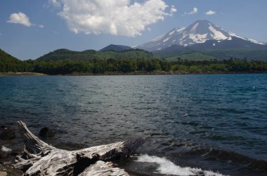Conguillio lake and Llaima volcano in the Conguillio National Park. clipart