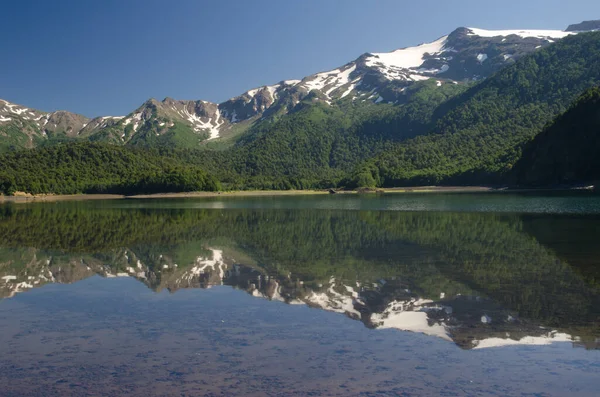 Kliffen en bossen weerspiegeld op het meer van Conguillio. — Stockfoto