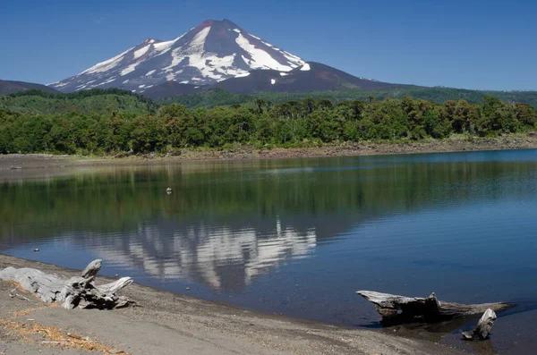 Volcan Llaima réfléchi sur le lac Conguillio . — Photo