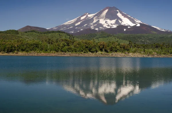 Volcan Llaima réfléchi sur le lac Conguillio . — Photo