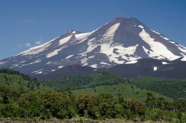 Volcan Llaima dans le parc national de Conguillio . — Photo