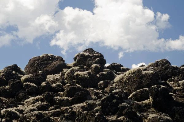 Field of solidified lava covered by lichens and clouds. — Stock Photo, Image